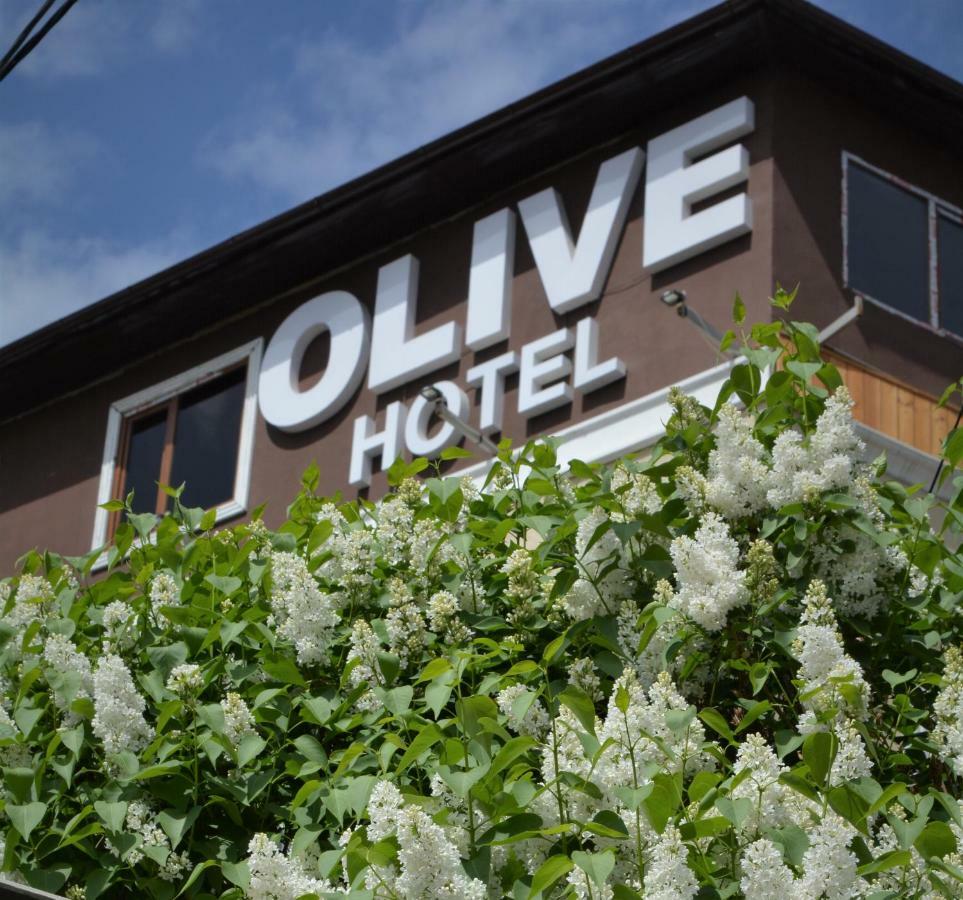 Olive Hotel Bishkek Exterior photo